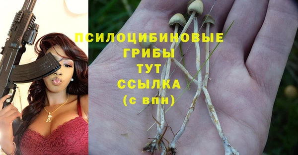 дживик Алзамай