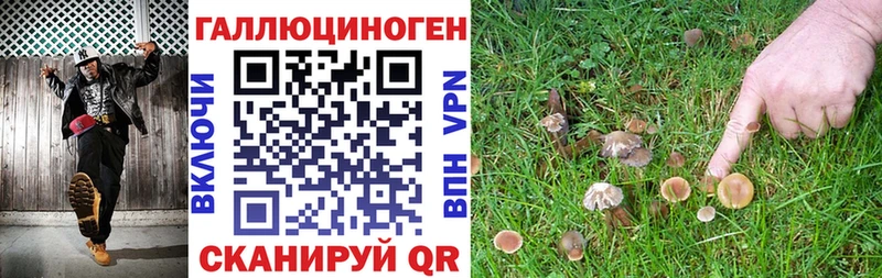Галлюциногенные грибы прущие грибы  Ува 